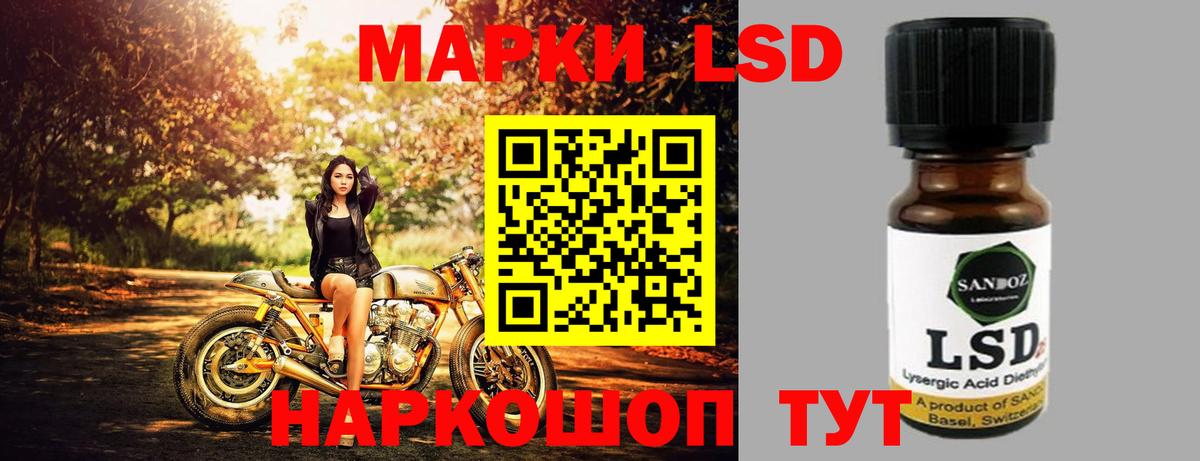 Камышлов  LSD-25 экстази кислота  Лсд 25 экстази кислота  Вход с VPN 