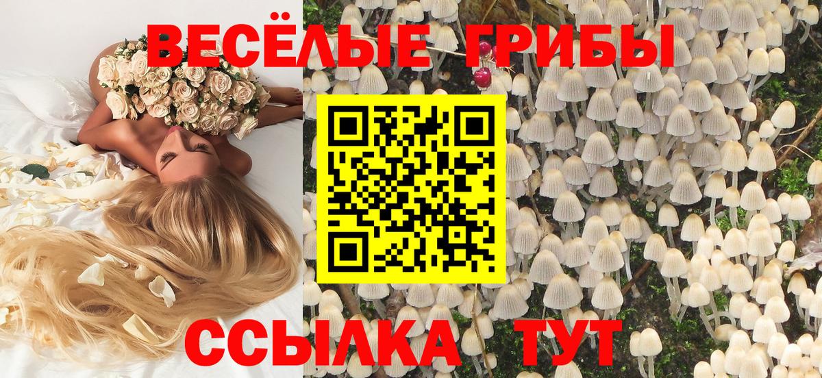 Псилоцибиновые грибы ЛСД  Вход с VPN  Камышлов 
