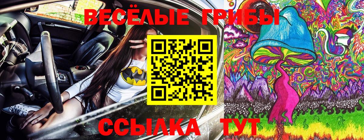 Псилоцибиновые грибы MAGIC MUSHROOMS Камышлов